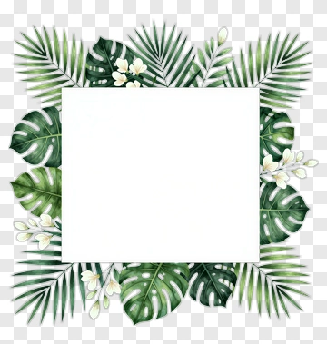 Tropical Leaf Frame With White Background PNG