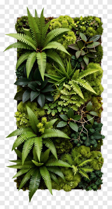 Lush Green Vertical Garden PNG