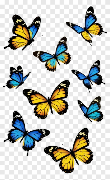 Colorful Butterflies In Flight PNG