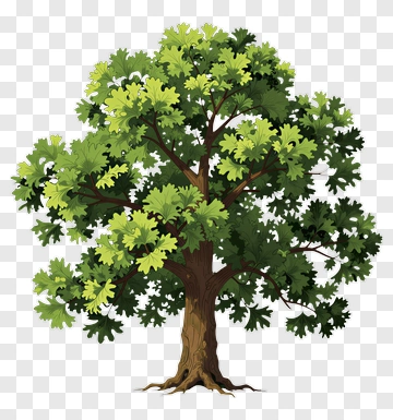 Colorful Tree PNG