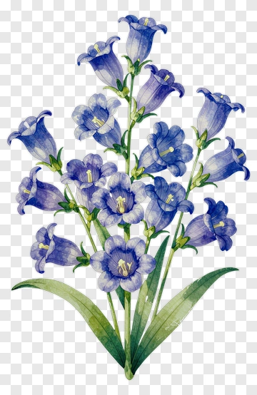 Bluebell Flower Bouquet PNG