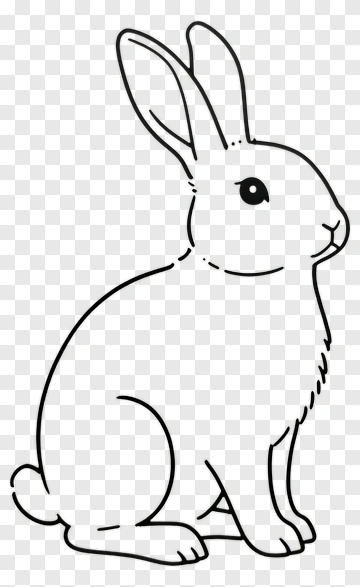 Cartoon Rabbit PNG