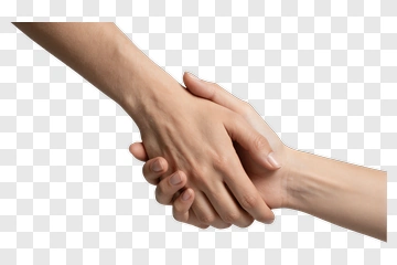 Hands Shaking In Agreement PNG