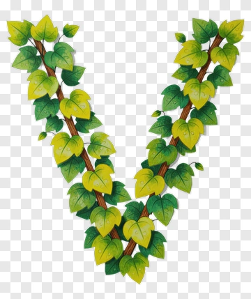 Green Ivy Leaves In V Shape PNG