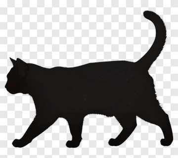 Black Cat Silhouette PNG