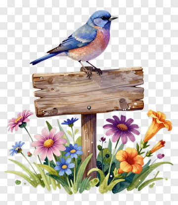 Bird Sitting On A Wooden Sign With Colorful Flowers PNG