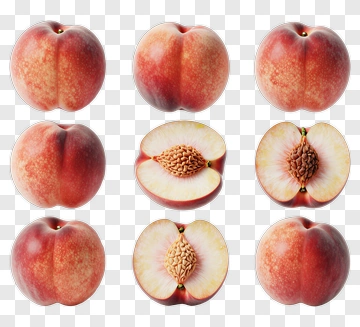 Peach Fruit Composition PNG