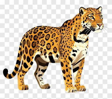 Cartoon Leopard PNG