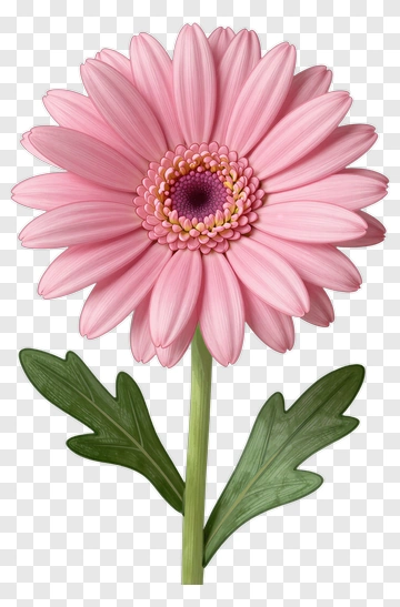Pink Flower With Green Leaves PNG