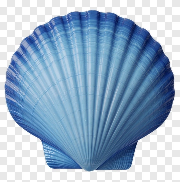 Blue Shell PNG