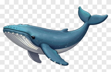 Cartoon Whale PNG