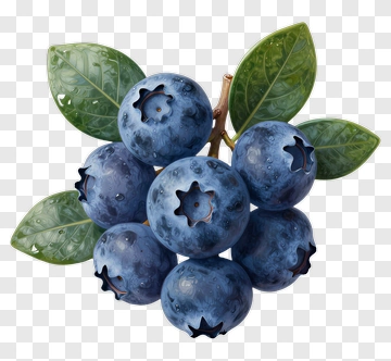 Fresh Blueberries With Green Leaves PNG