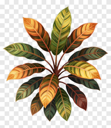 Colorful Leaf Arrangement PNG