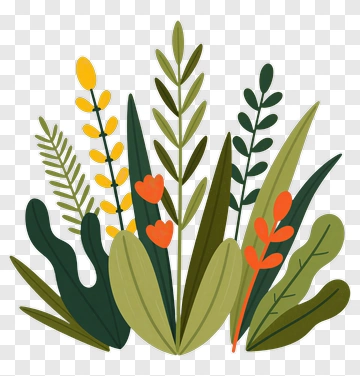 Colorful Plant Arrangement PNG