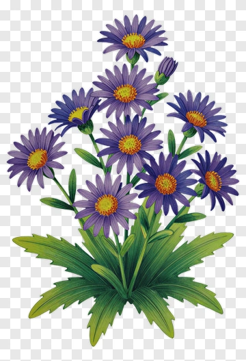 Purple Flower Bouquet PNG