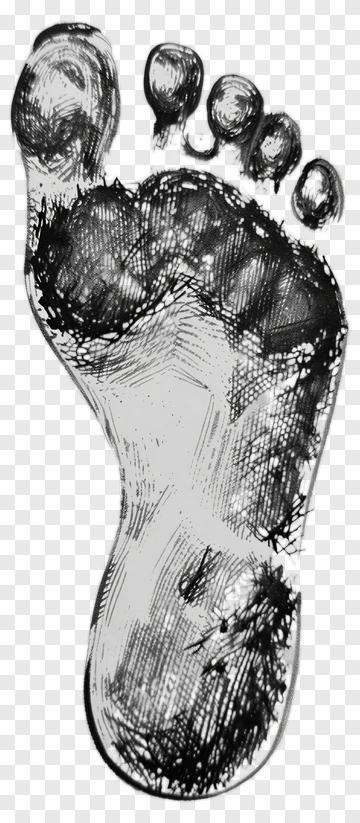 Footprint Illustration PNG