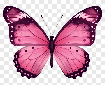 Colorful Butterfly With Pink Wings PNG