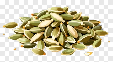 Pumpkin Seeds Pile PNG
