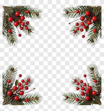Christmas Pine Branches With Red Berries PNG