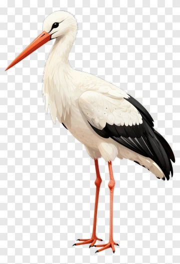 Cartoon Stork Standing PNG