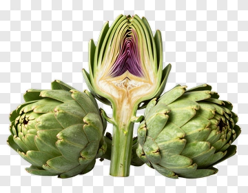 Artichoke With Open Heart PNG
