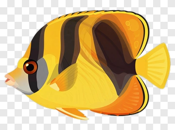 Colorful Fish With Stripes PNG