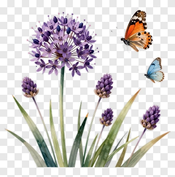 Lavender Flower With Butterflies PNG