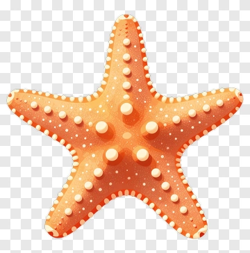 Orange Starfish PNG