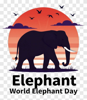 Elephant World Elephant Day PNG
