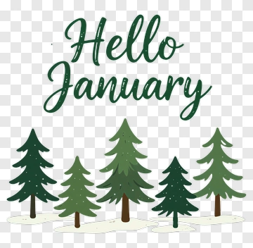 Hello January With Pine Trees PNG