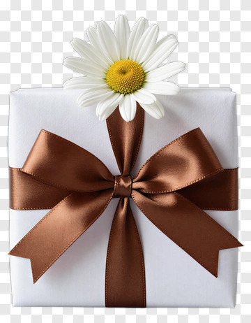 Gift Box With Brown Ribbon And Daisy Flower PNG