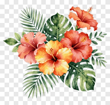Colorful Hibiscus Flower Bouquet PNG