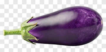 Fresh Purple Eggplant PNG