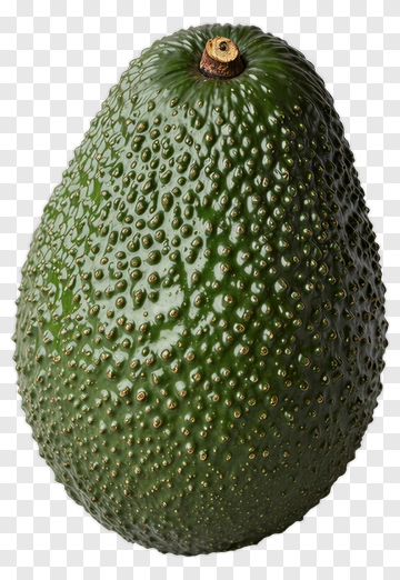 Avocado PNG