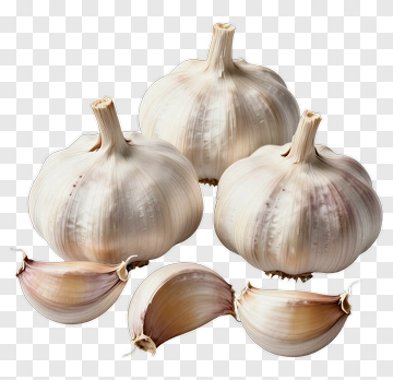 Garlic Bulbs And Cloves PNG