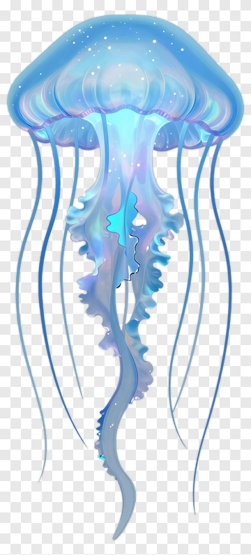 Colorful Jellyfish PNG