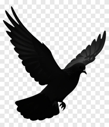 Black Silhouette Bird In Flight PNG