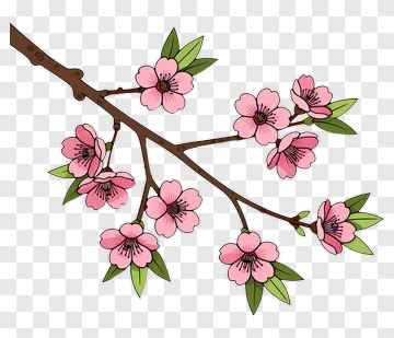 Colorful Cherry Blossom Branch PNG