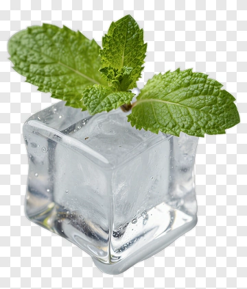 Mint Leaves On Ice Cube PNG