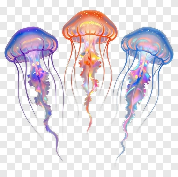 Colorful Jellyfish Trio PNG