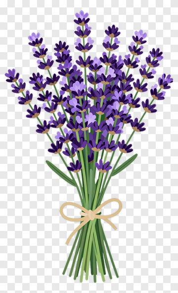 Lavender Bouquet PNG
