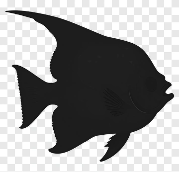 Black Fish Silhouette PNG