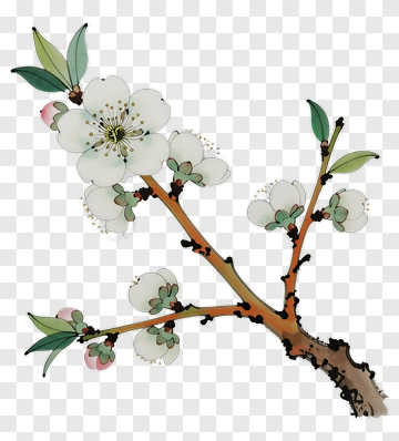 Delicate Cherry Blossom Branch PNG
