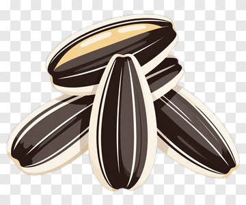 Sunflower Seeds PNG