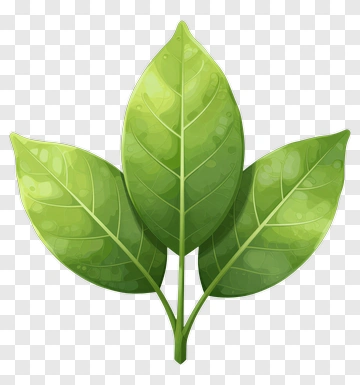 Green Leaf Composition PNG