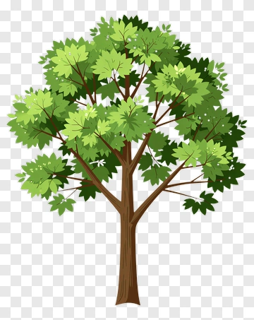Colorful Tree PNG
