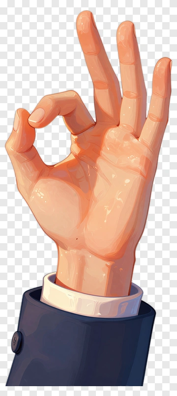 Hand Making An Okay Gesture PNG