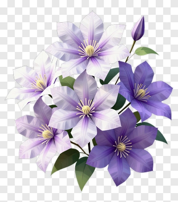 Colorful Flower Bouquet PNG