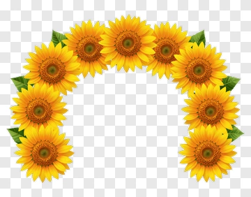 Sunflower Floral Wreath PNG