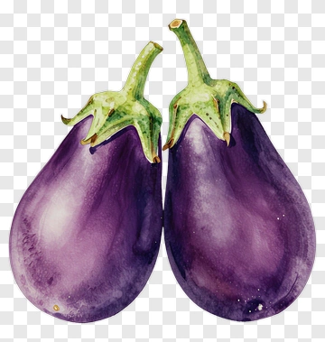 Watercolor Eggplant Pair PNG